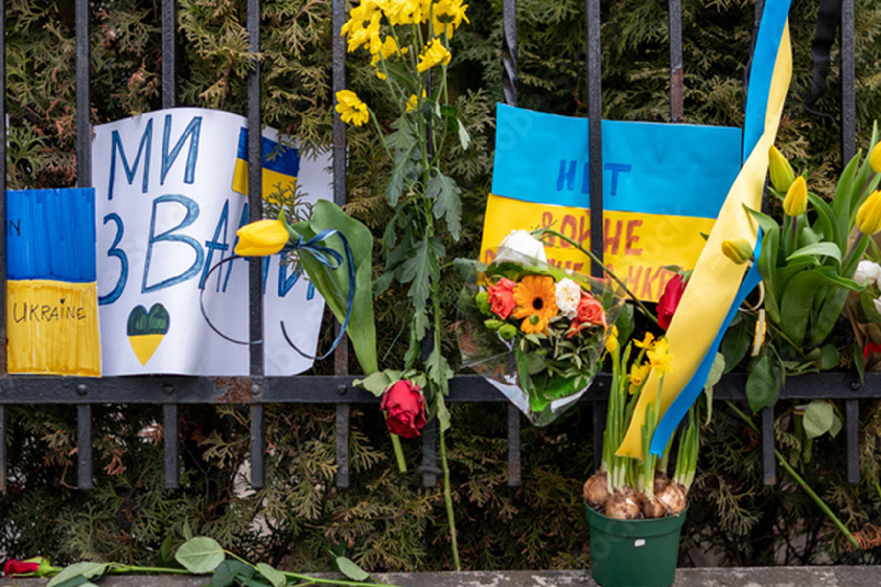 Ukraine